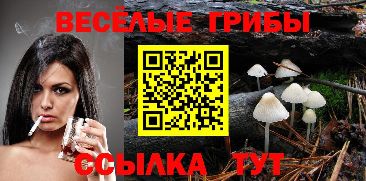 Галлюциногенные грибы ЛСД Геленджик