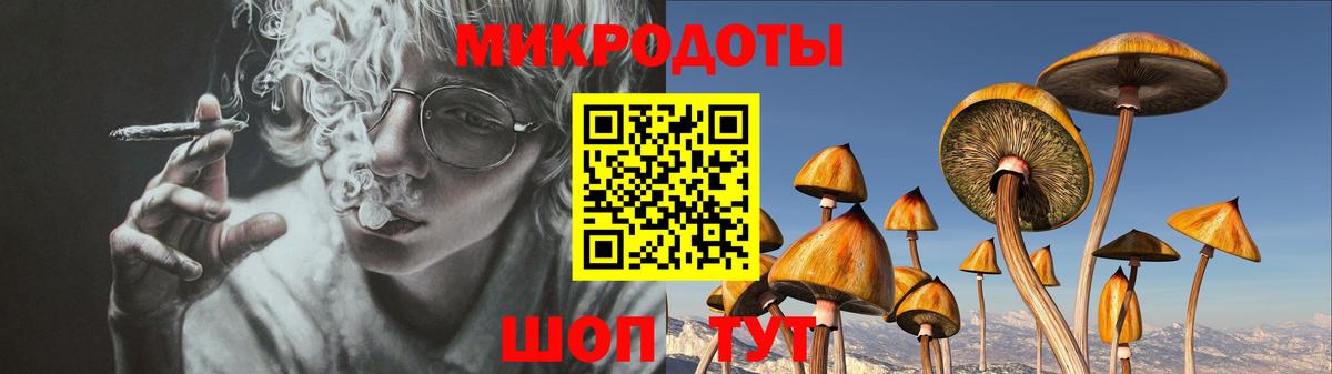 Псилоцибиновые грибы GOLDEN TEACHER  наркотики  Геленджик  Вход с VPN 